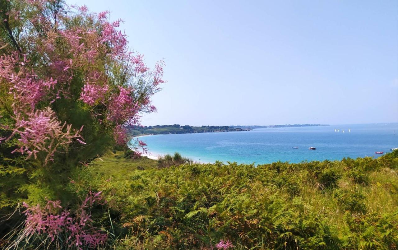 Les Maisons De Kerdavid'Ile - Votre Residence De Vacances A Belle Ile En Mer Locmaria Εξωτερικό φωτογραφία