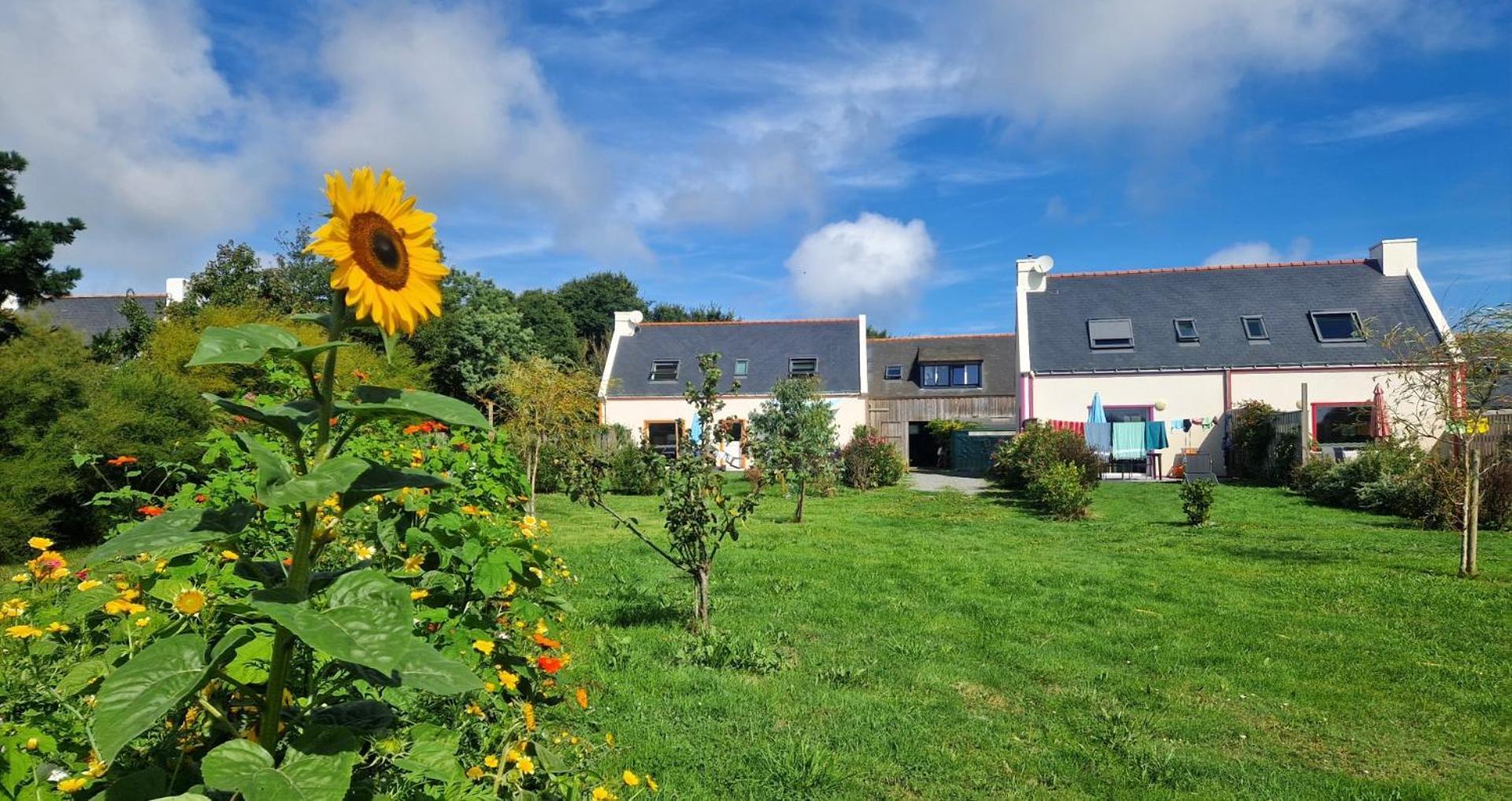 Les Maisons De Kerdavid'Ile - Votre Residence De Vacances A Belle Ile En Mer Locmaria Εξωτερικό φωτογραφία